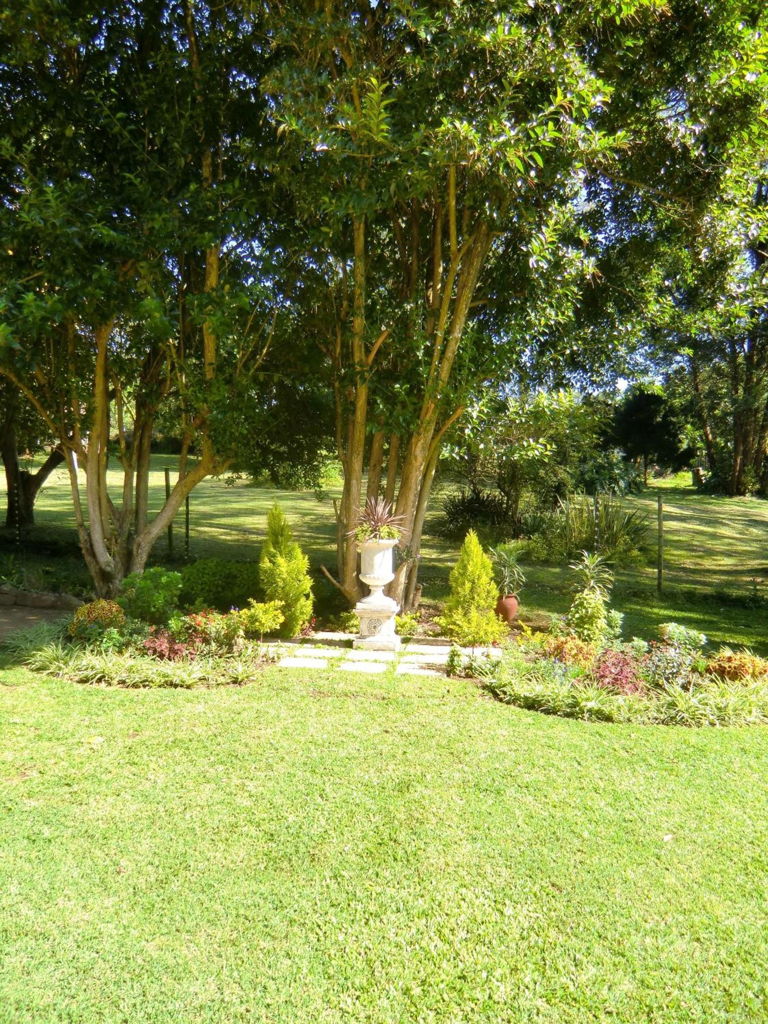 Warrens Guest House Hillcrest Cameră foto